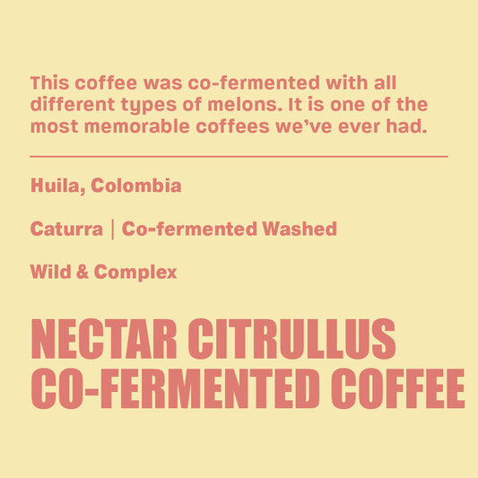 Nectar Citrullus Co-Ferment