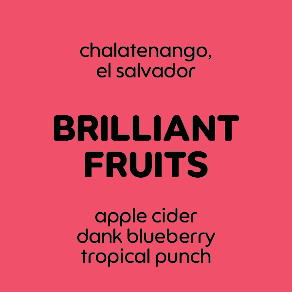 Brilliant Fruits