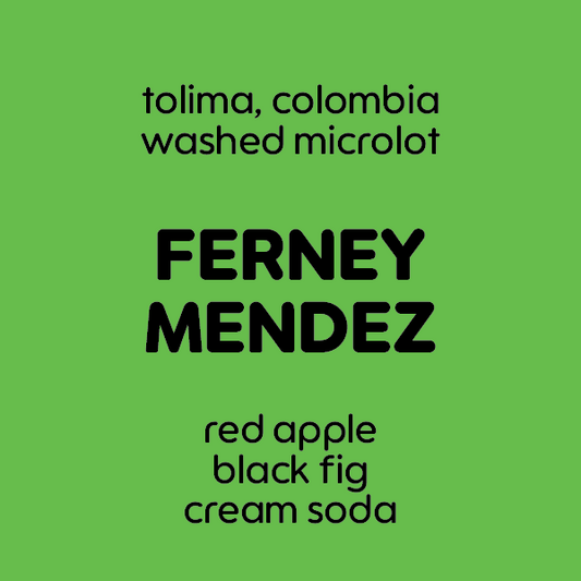 Ferney Mendez