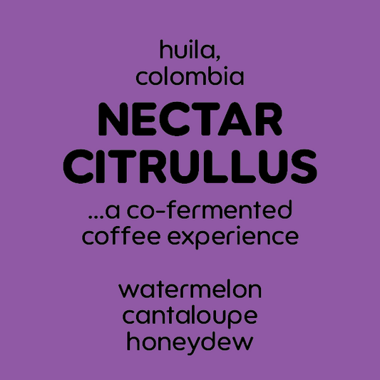 Nectar Citrullus Co-Ferment