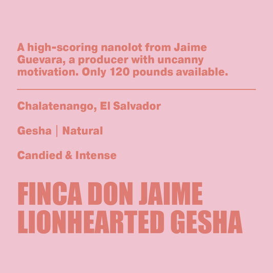 Don Jaime Lionhearted Gesha