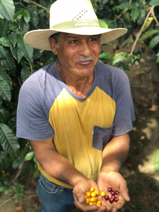 Juan Villatoro – Unity Sourcing & Roasting