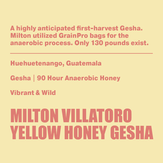Milton Villatoro Yellow Honey Gesha