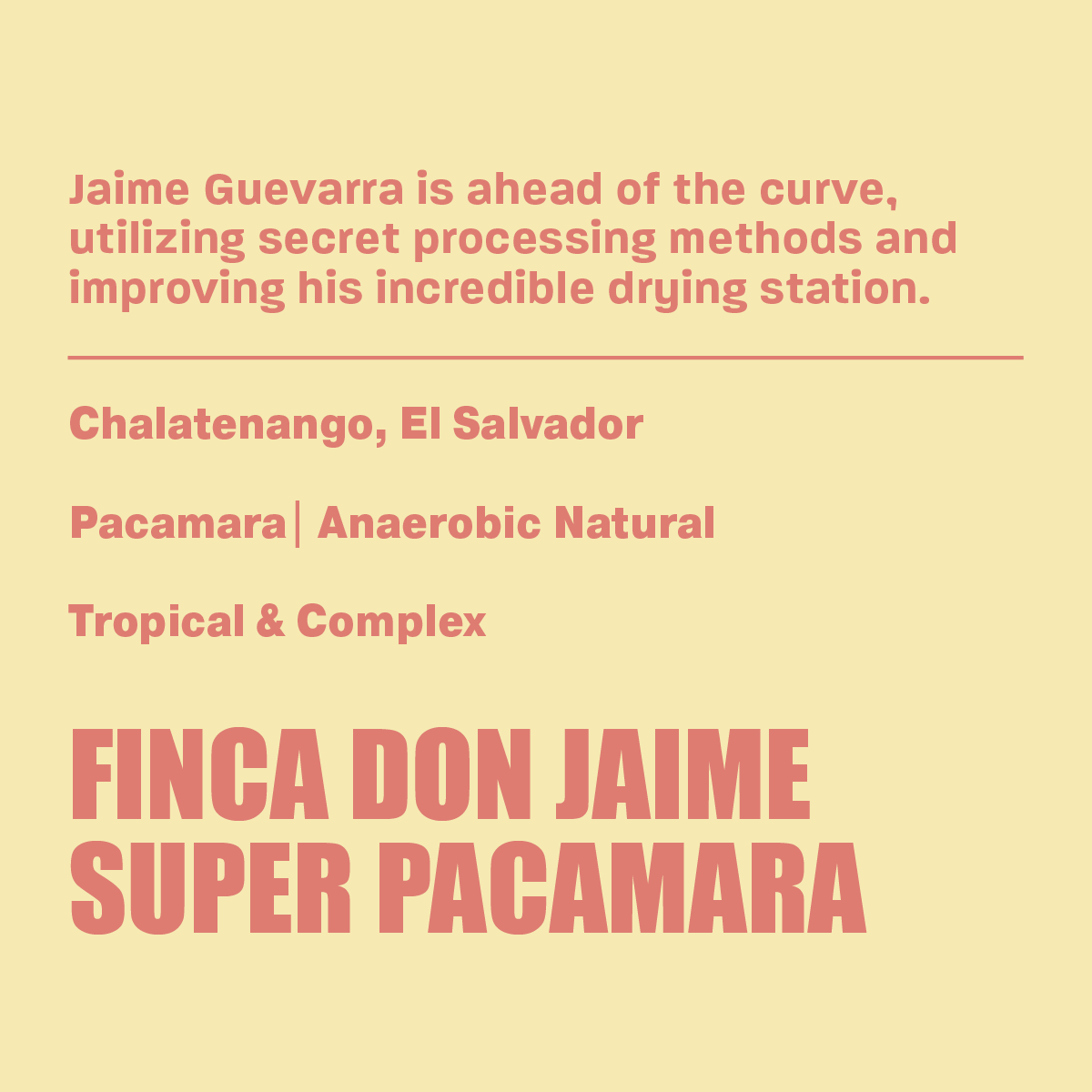Don Jaime Super Pacamara