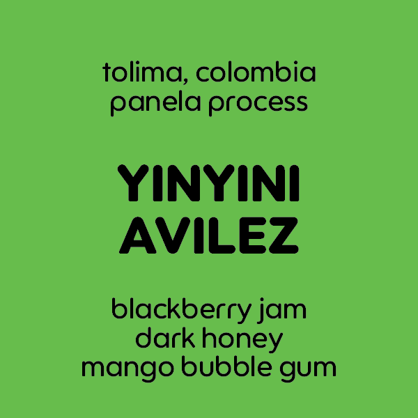 Yinyini Avilez