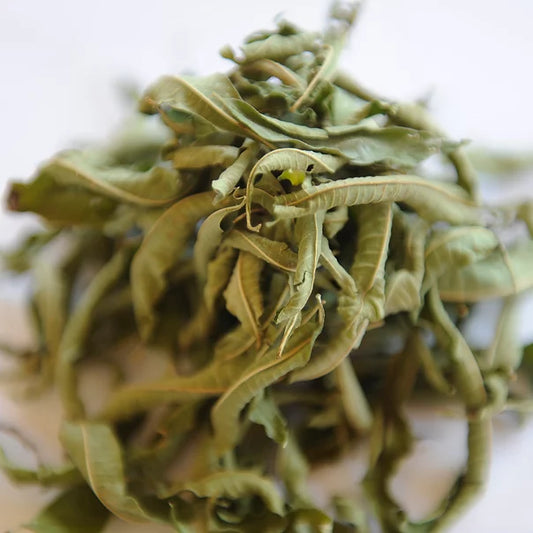 Lemon Verbena (Herbal)